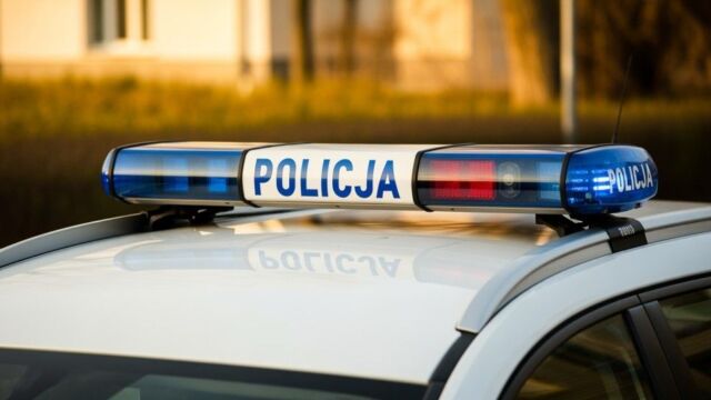 Iłowa: areszt po brutalnym ataku na posesji