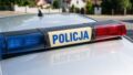 Plantacja konopi zlikwidowana, 39-latka z zarzutami