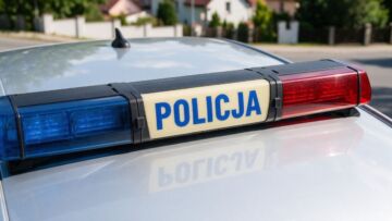Plantacja konopi zlikwidowana, 39-latka z zarzutami