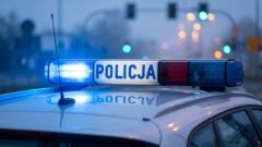 Sulechów: 33-latek z zarzutami serii kradzieży